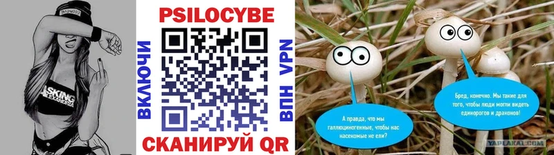 ссылка на мегу сайт  что такое   Динская  Галлюциногенные грибы Magic Shrooms 